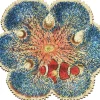 Liberty Puzzles Barrier Reef Anemone* Puzzles
