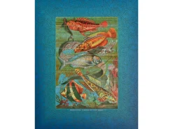 Liberty Puzzles Beautiful Fishes of the Deep* Puzzles