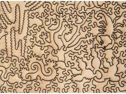 Liberty Puzzles Cholla and Sahuaro* Puzzles