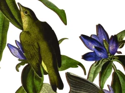 Liberty Puzzles Connecticut Warbler* Puzzles