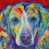 Liberty Puzzles Cooper* Puzzles
