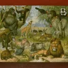 Liberty Puzzles Ethiopian Fauna* Puzzles
