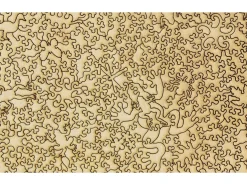 Liberty Puzzles Frog Concert* Puzzles