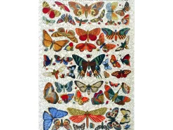 Liberty Puzzles Histoire Naturelle* Puzzles