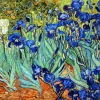 Liberty Puzzles Irises* Puzzles
