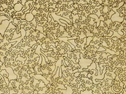 Liberty Puzzles Map of Paris* Puzzles