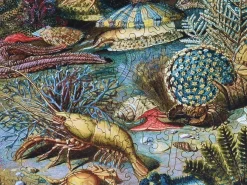 Liberty Puzzles Ocean Life* Puzzles