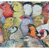 Liberty Puzzles Patchwork - Birds* Puzzles
