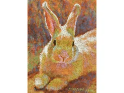 Liberty Puzzles Sunny Bun* Puzzles