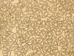 Liberty Puzzles The Battle of Carnival and Lent* Puzzles