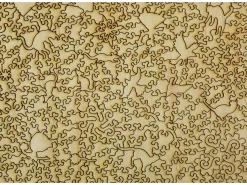 Liberty Puzzles The Five Senses* Puzzles