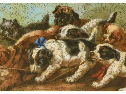 Liberty Puzzles The Tug of War* Puzzles