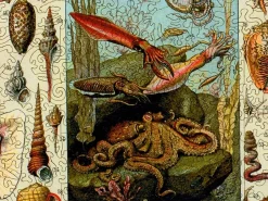 Liberty Puzzles Varieties of Molluscs* Puzzles